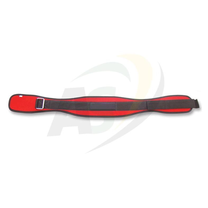 Polyester Belts