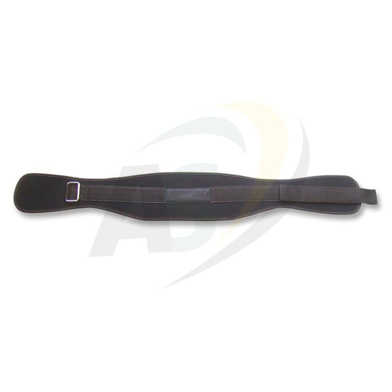 Polyester Belts